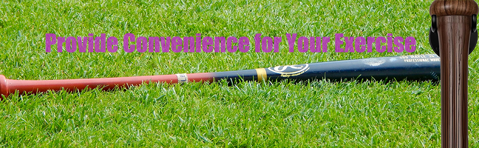 Sporta Baseball Holder