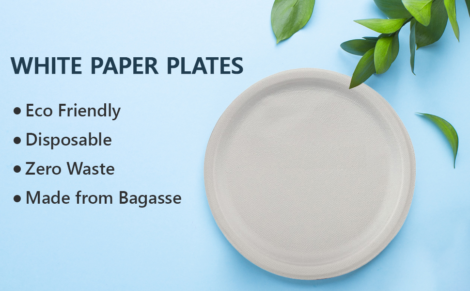 NationwidePaper 10 Inch Biodegradable Bagasse Round Paper Plates