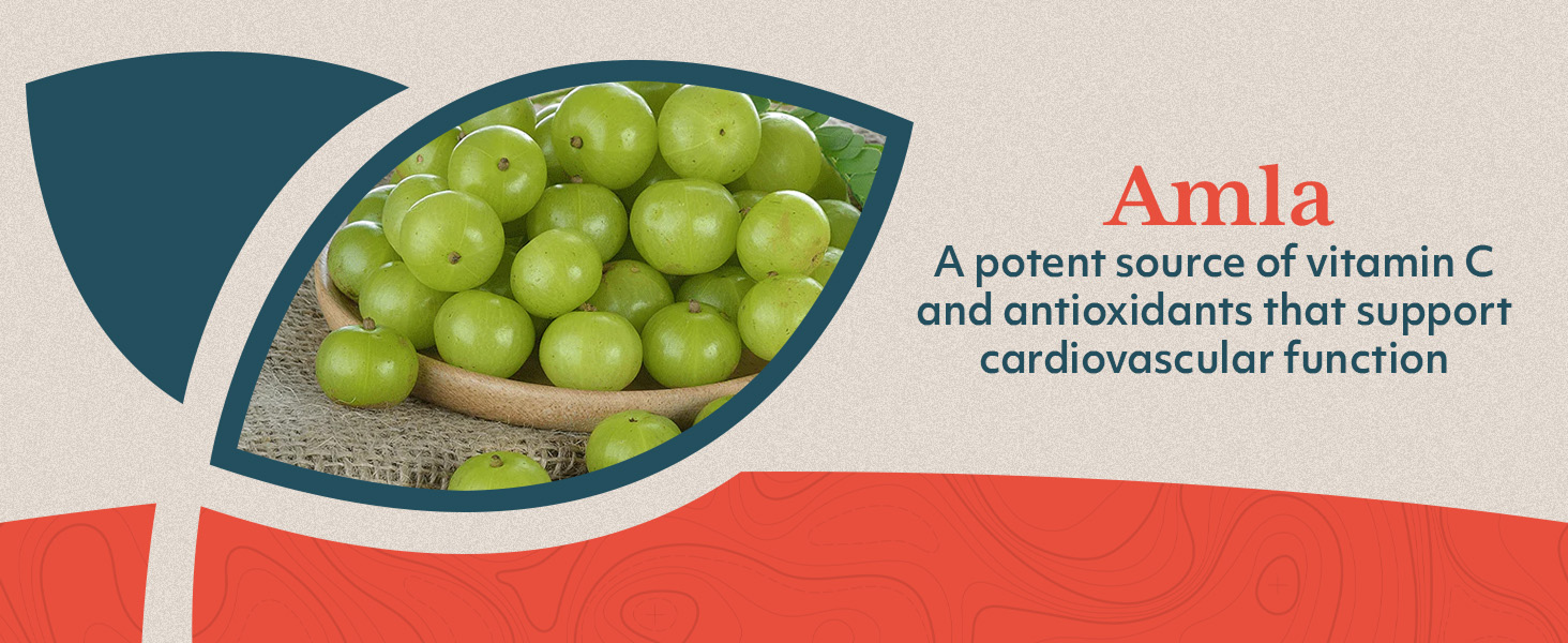 alpha lipoic acid 600mg acido alfa lipoico vitamin plan b slim capsules sciatica palm synergy lipo