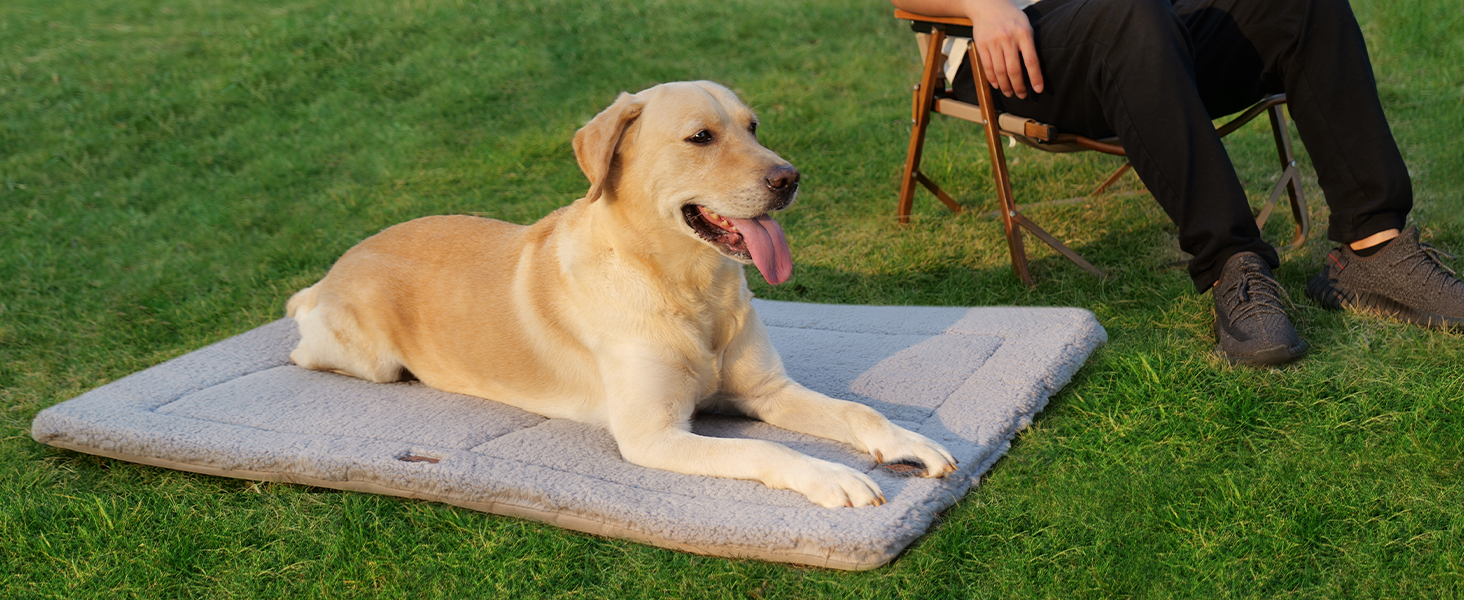 Joydeco dog bed mat for crate kennel washable machine living room sofa coach