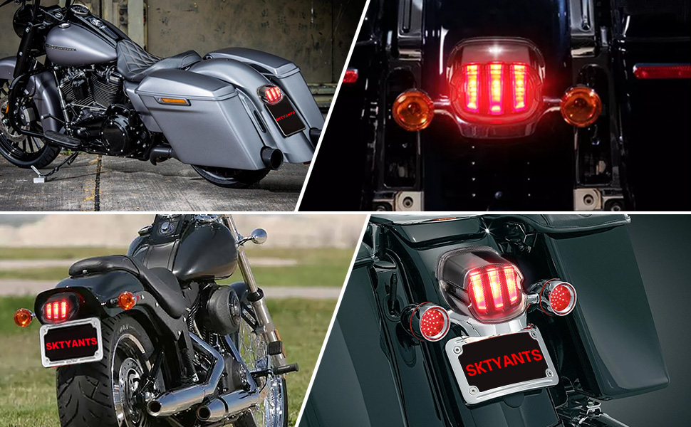 Amazon.com: SKTYANTS Motorcycle LED Tail Light Turn Signals