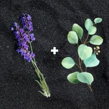 Lavender + Eucalyptus