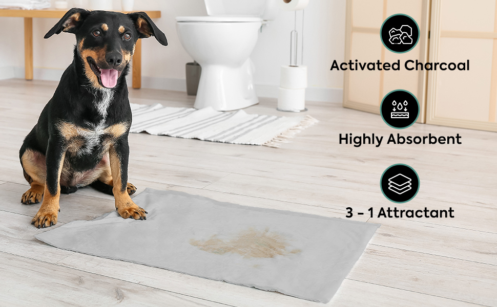 Disposable Puppy Pads Potty Training 5 Activated Charcoal