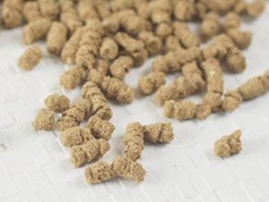 帝塚山ハウンドカム　ホリスティック クッキング ホース　フィッシュ　ドッグフード ホリスティッククッキング フィッシュ ｜ドッグフードの通販