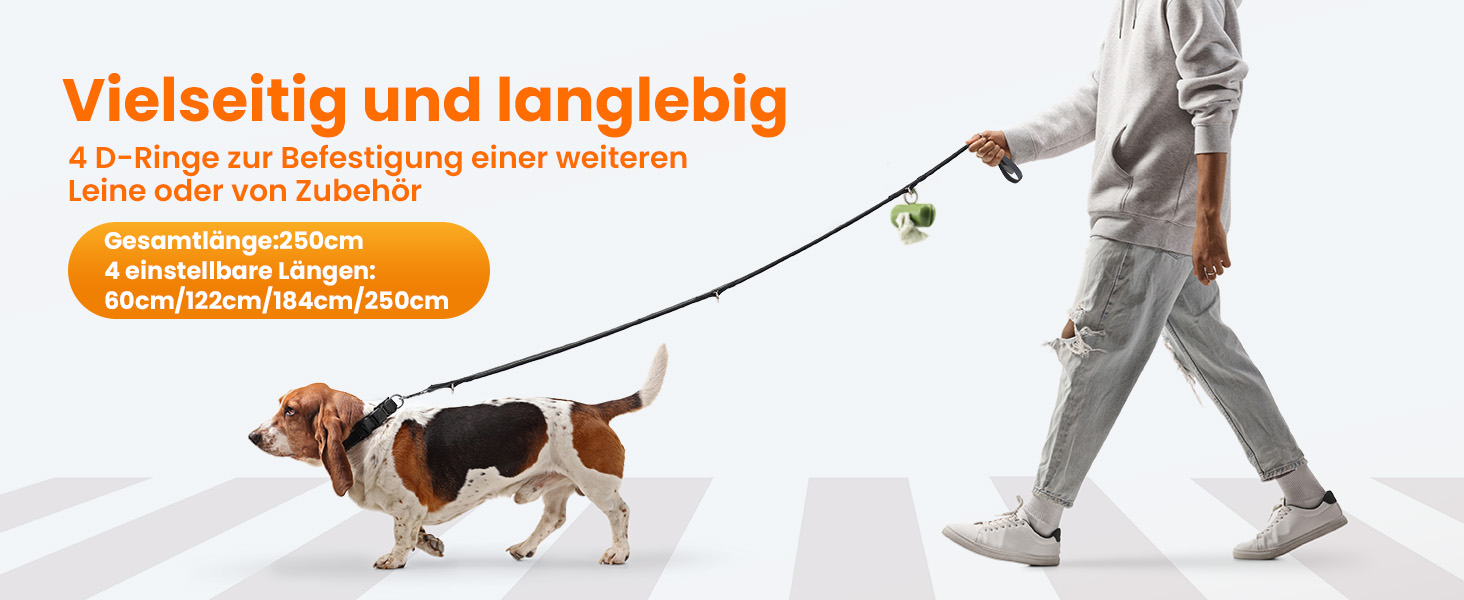 Ausziehbare Hundeleine im Einsatz, die eine Person zeigt, die mit einem kleinen Hund spazieren geht. Der deutsche Text weist auf die Vielseitigkeit und Langlebigkeit des Produkts hin