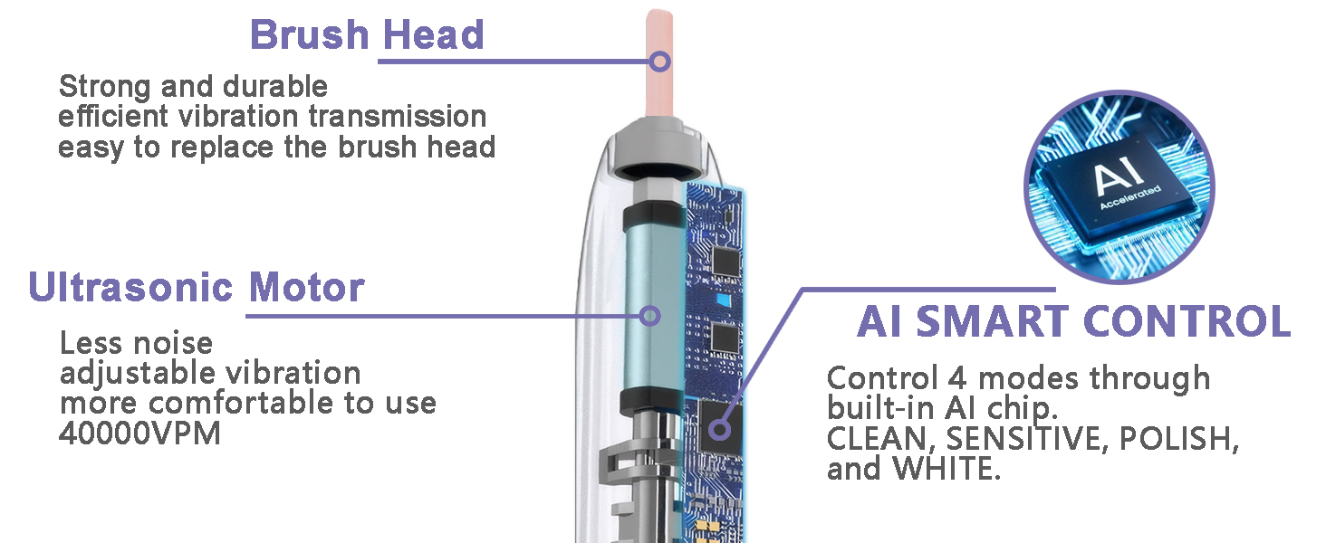 Electronic Toothbrush