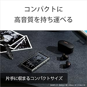 Amazon.co.jp: ソニー(SONY) ウォークマン 64GB A300シリーズ NW