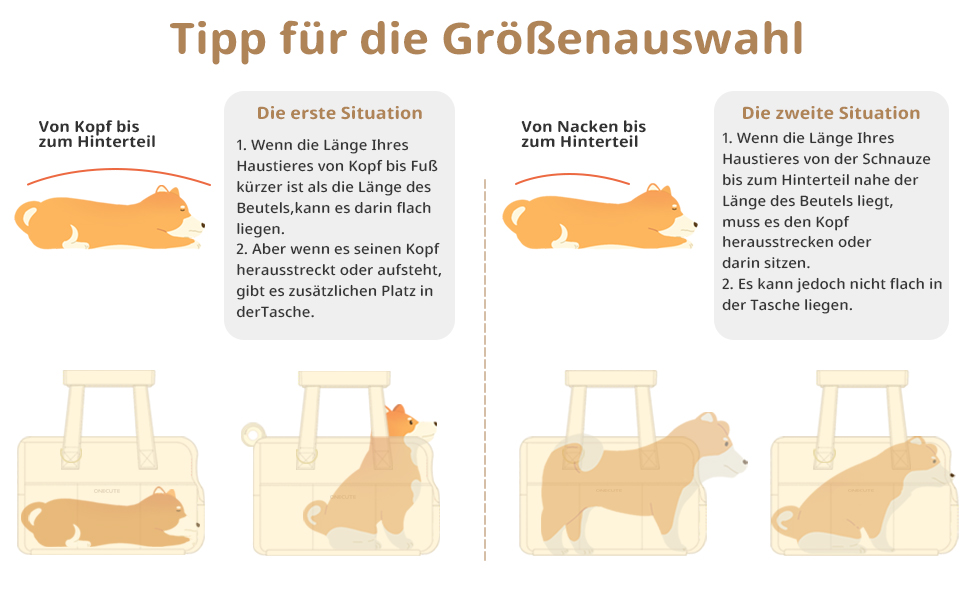 Bebilderte Größenanleitung mit Anweisungen zum Messen von Hunden mit orangefarbenen Silhouetten, die zeigen, wie man vom Kopf bis zum Schwanz und in der Standposition misst.