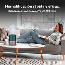 luftfuktare; elektrisk luftfuktare; avfuktare; luftfuktighet; brezzecare 2900 smart