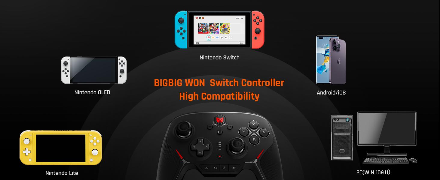BIGBIG WON Wireless Switch Controller, Bluetooth Wired Dual Mode Game