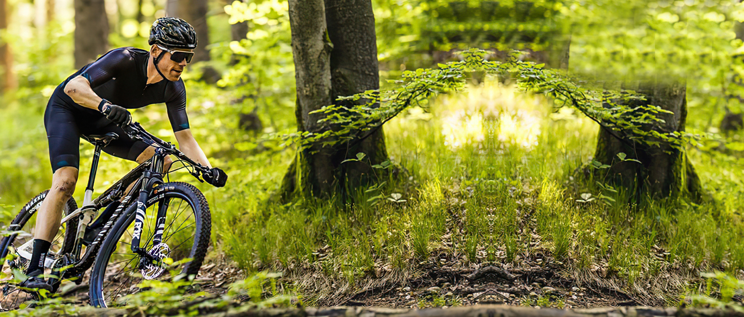 support telephone moto