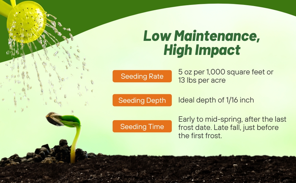 Large manufacture image 5