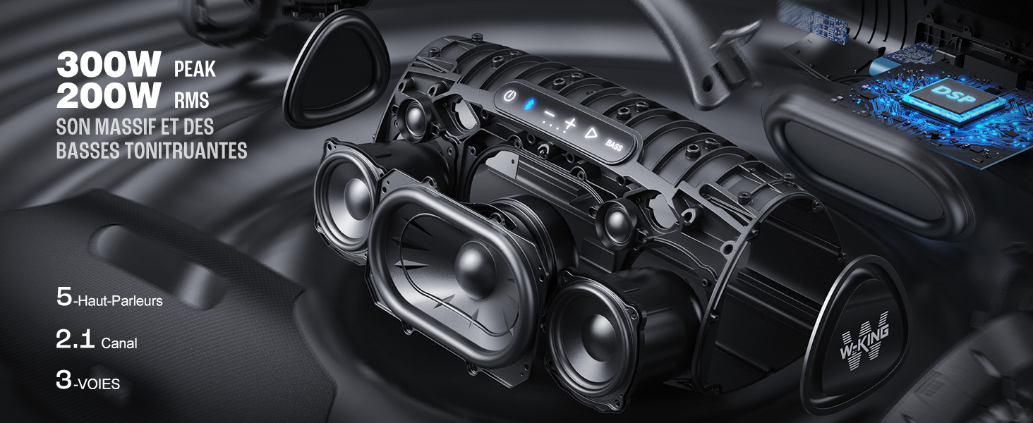 200W Haut-Parleur Bluetooth