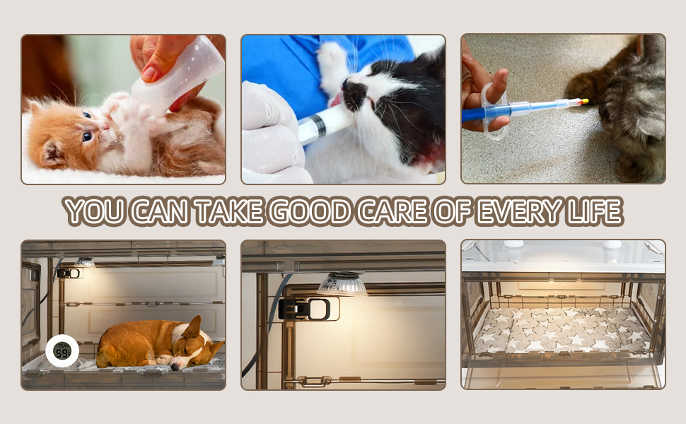 Large Dog Kitten Puppy Incubator with Heating Infant