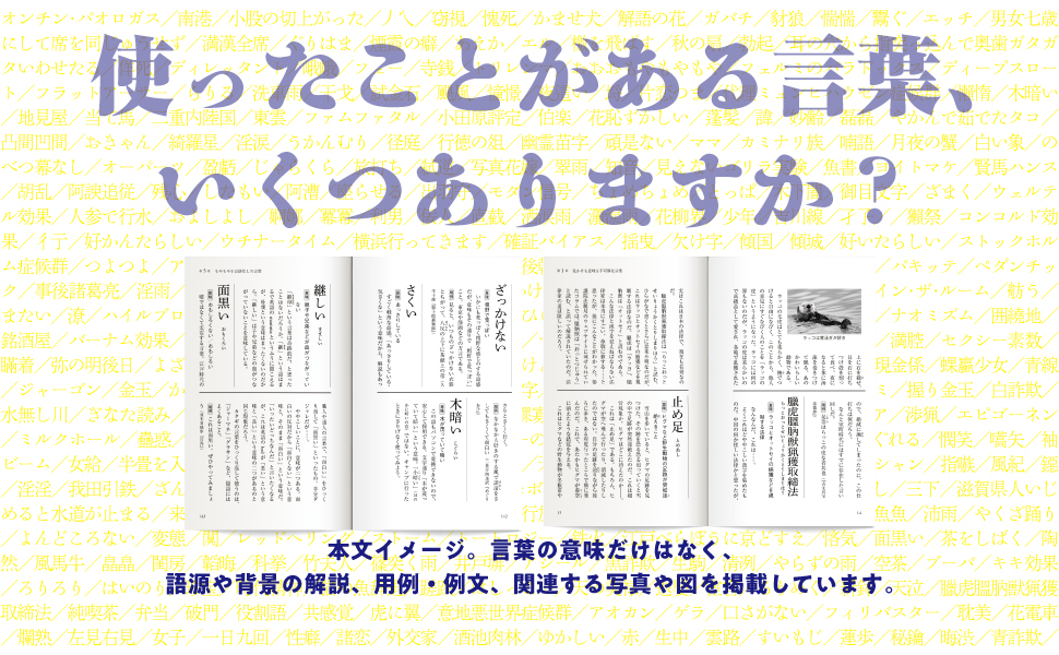 死ぬまで使わない日本語 (フォレスト2545新書) | 杉岡 幸徳 |本