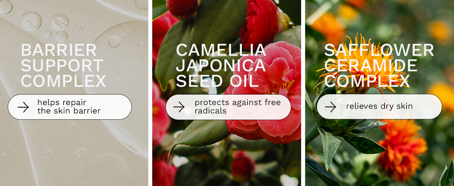 Barrier Support Complex, Camelia Japonica Seed Oil, Safflower Ceramide Complex