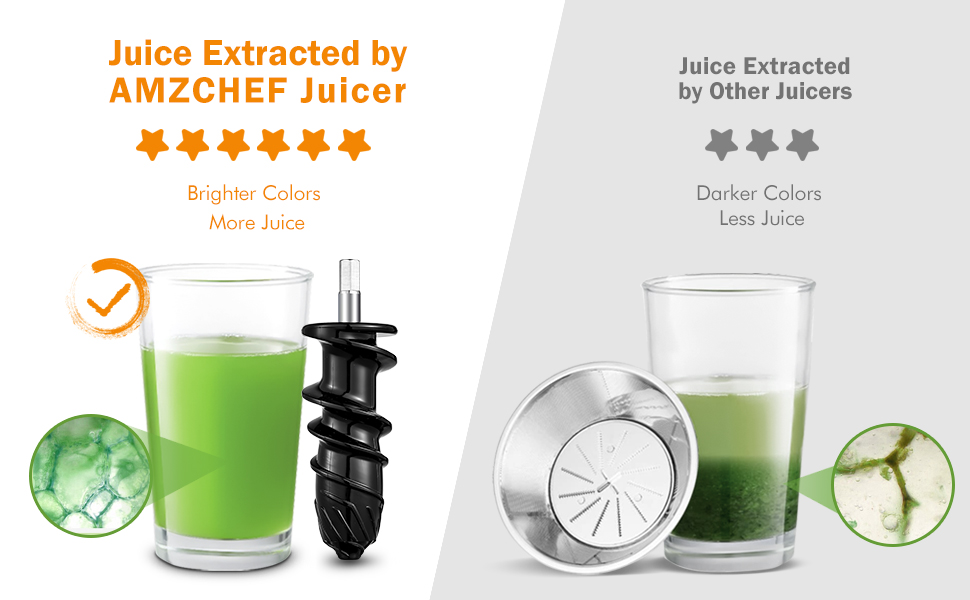 AMZCHEF Slow Juicer Machine Masticating Juicer with Reversing