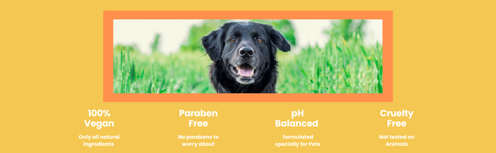 PET SHAMPOO DOGS CONDITIONING CATS VEGAN