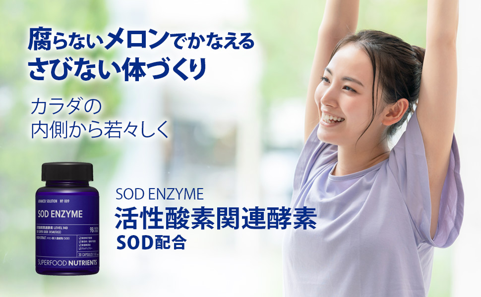 エンザイムローフード エンザイムローフード ビレガプラス | スリムビューティハウス