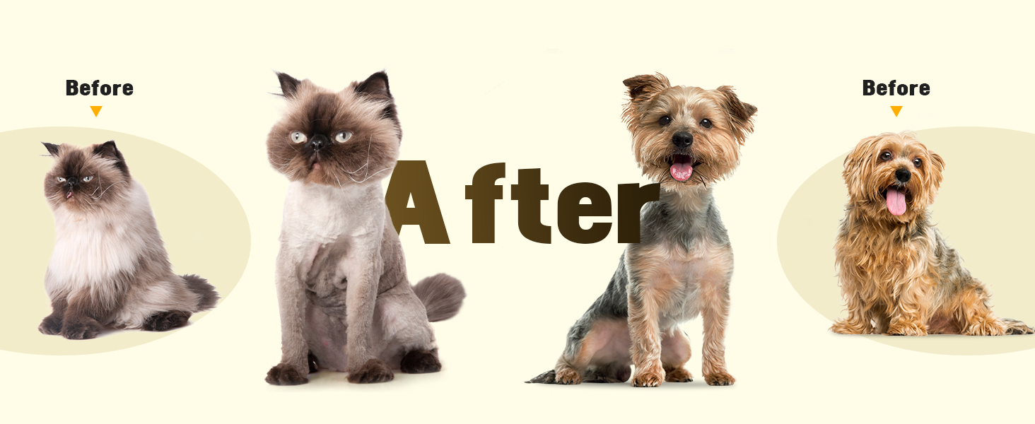 cat hair trimmer