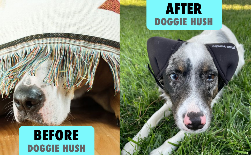 Vet-Approved Noise-Buffering Headwear