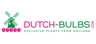 Dutch-bulbs.com exclusive plants from holland
