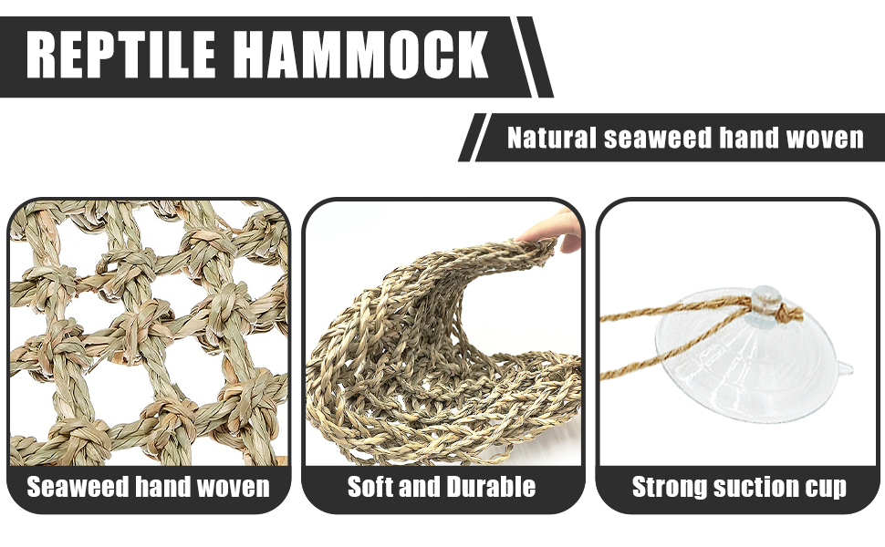 ball python tank accessories