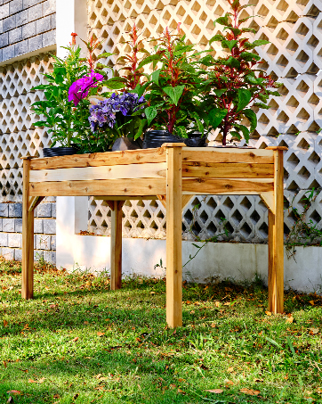 wood garden bed BS illustration