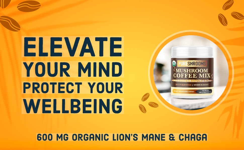 Focus & Create Instant