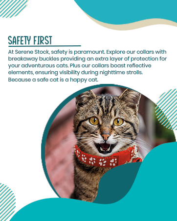 Safety First 