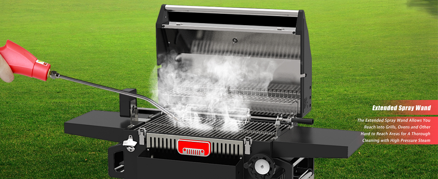 portable steam cleaner