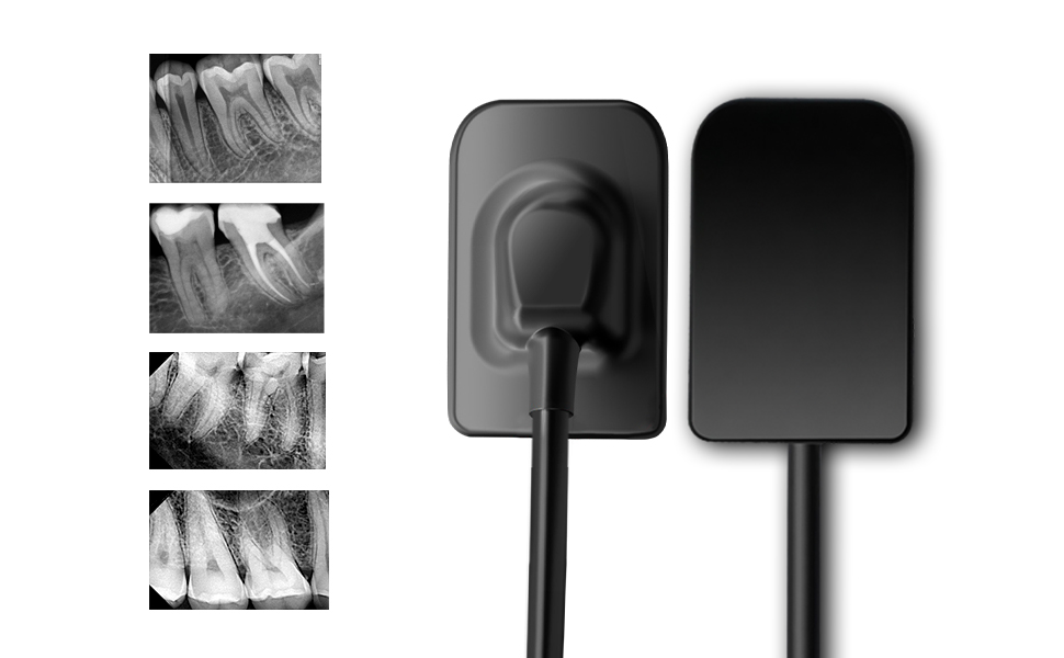 Waldent Carpo RVG VSensor Dental RVG Sensor For High Resolution