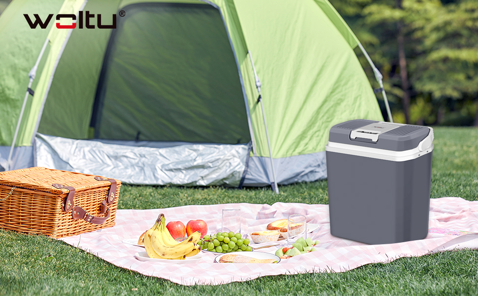 WOLTU Mini Frigo Bar Portatile Auto Ufficio Frigorifero Piccolo Caldo Freddo 12V 13 22222