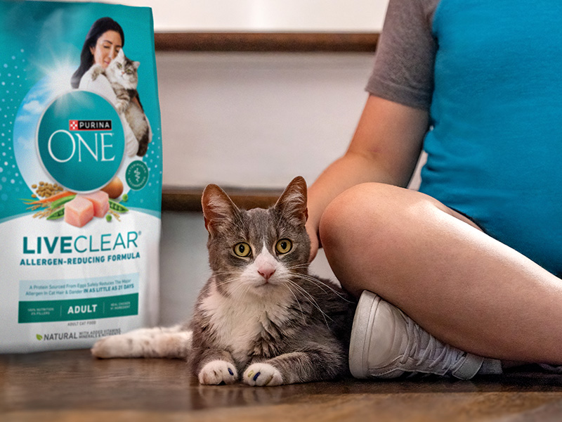 Amazon.com : Purina ONE LiveClear Allergen-Reducing Cat Food Dry ...