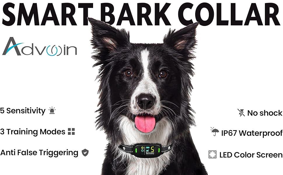 bark collar