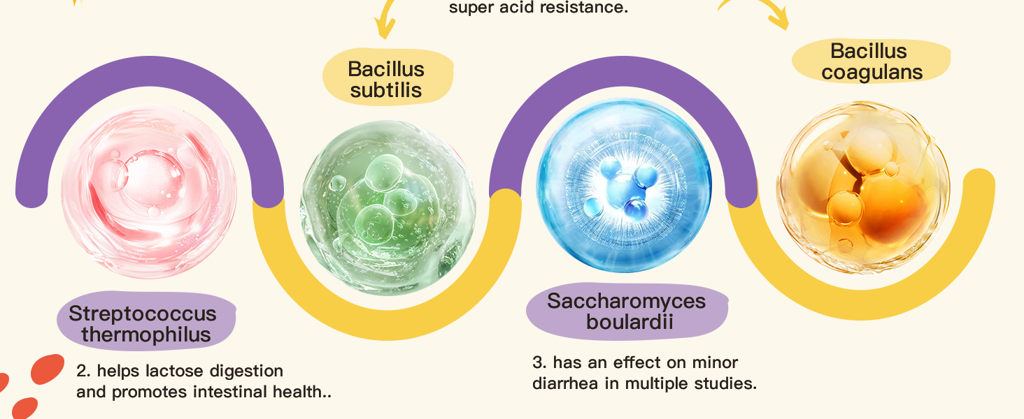 Large manufacture image 6