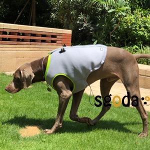 dog cooling jackets