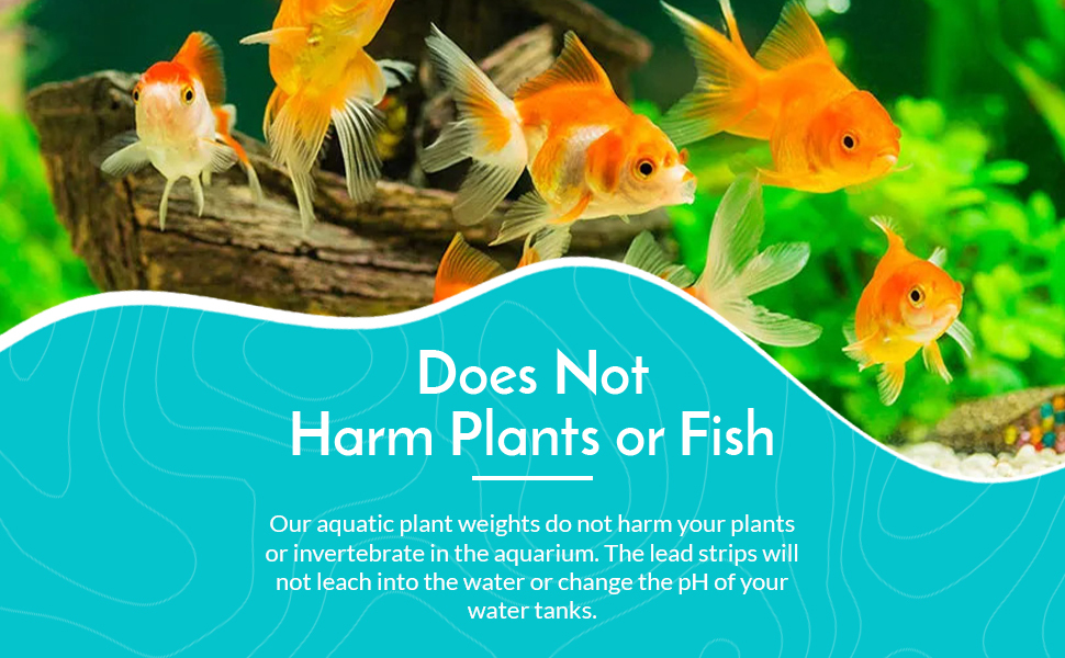 CANTON AQUATICS Anchor Lead Plant Holder Flexible Weight