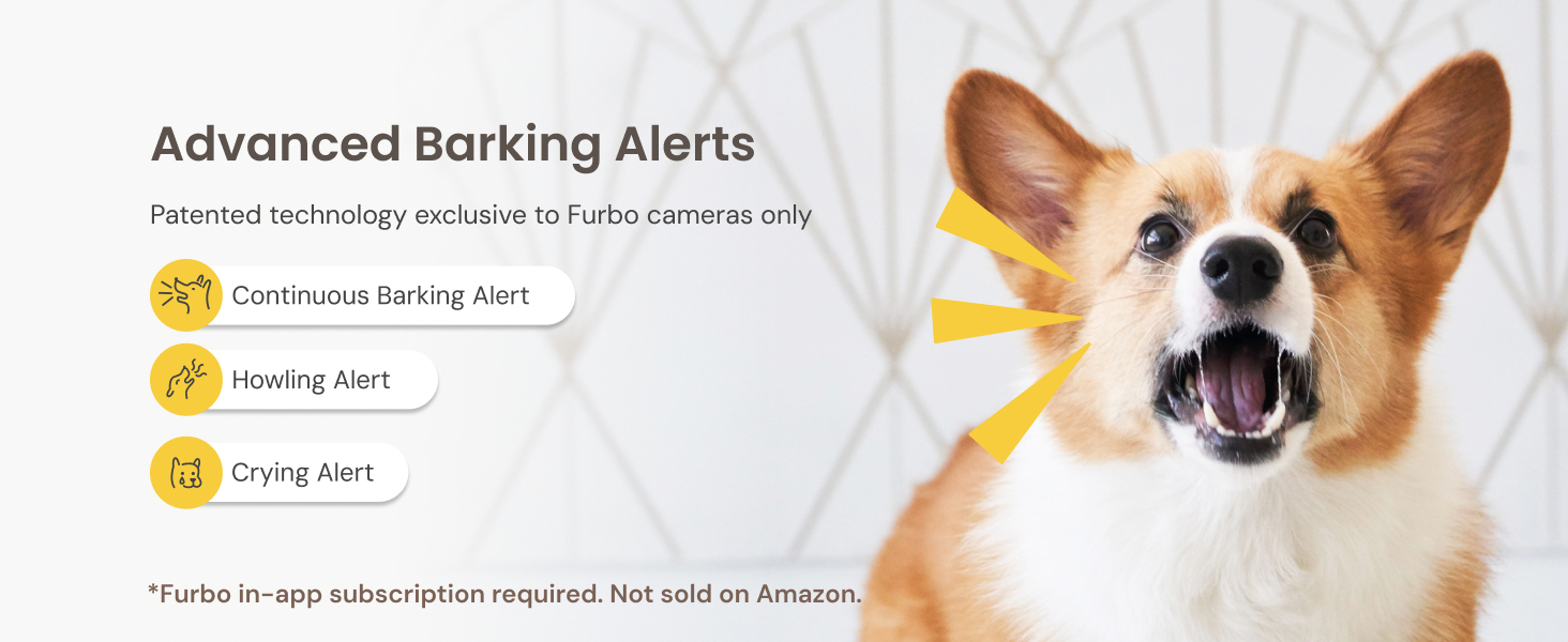 UK_Dog Faas_Premium Navigation Carousel_3