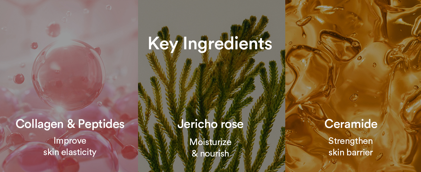 Abib Collgen Mask Sheet Jericho Rose Jelly