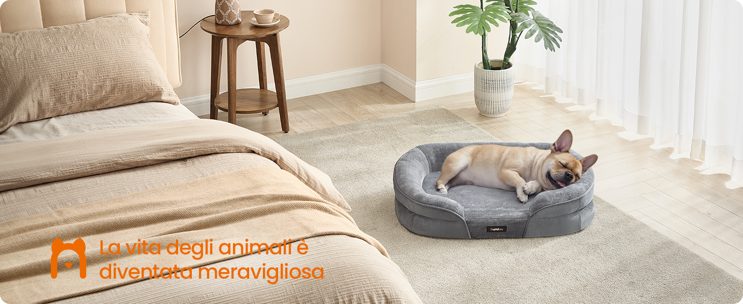 Cane di piccola taglia che dorme in un letto ovale grigio per animali domestici su un tappeto beige. Camera da letto con toni neutri, tavolino in legno e pianta in vaso a vista