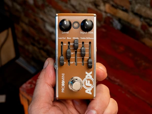 Amazon.com: Fishman AFX Pocket Blender Mini A/B/Y & DI