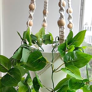 Plant Hanger Indoor