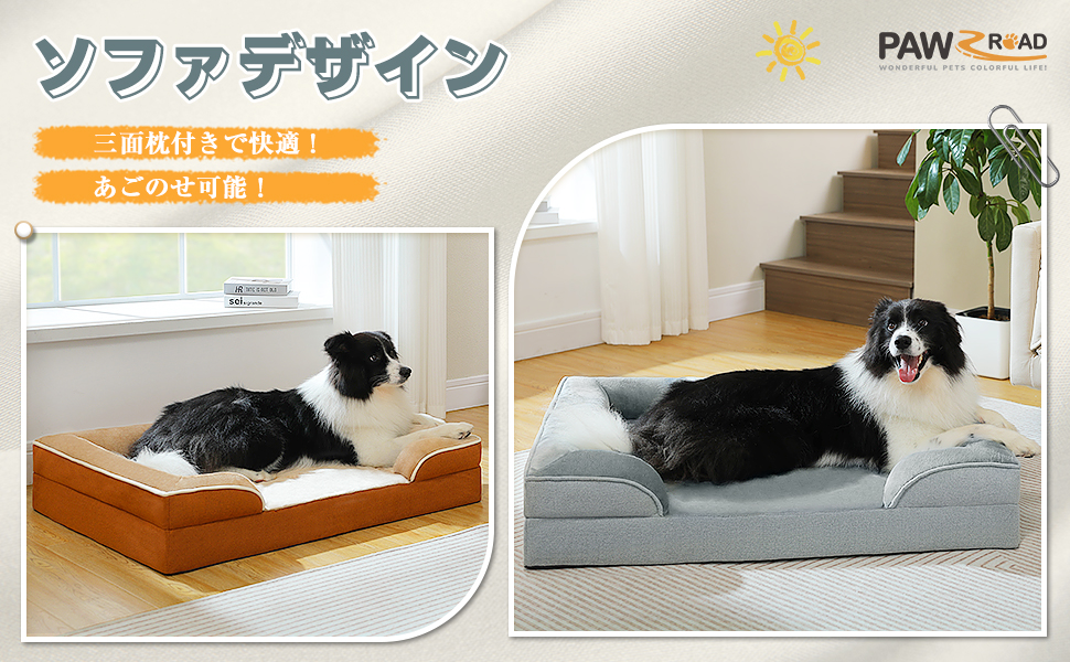 犬田様確認ページ ❤️可愛いワンちゃんのご紹介です❤️ ⁡ 【犬種】マルチーズ