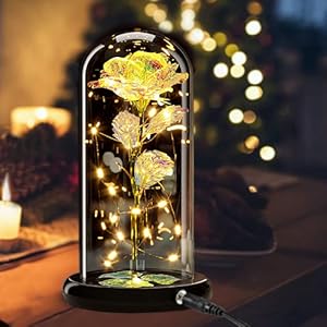 flower ideas wife anniversary beauty girlfriend roses best grandma glass friend mother