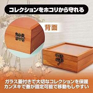 Amazon.co.jp: Felimoa 木箱 ディスプレイケース ガラス蓋付き