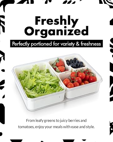 11 Dividers & Snack Tray 