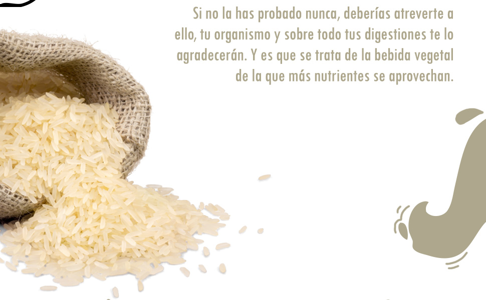 leche de arroz, bebida vegetal, bebida arroz, leche de arroz sin azucar