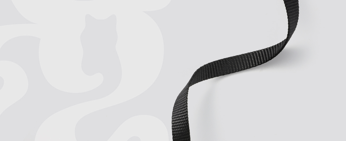 cat harness and leash