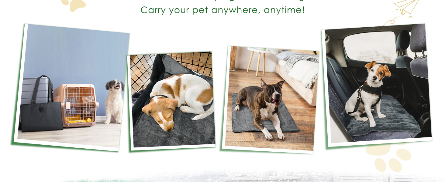 Four-panel collage showing pet carrier usage scenarios with dogs in various travel situations. Text indicates portable design.